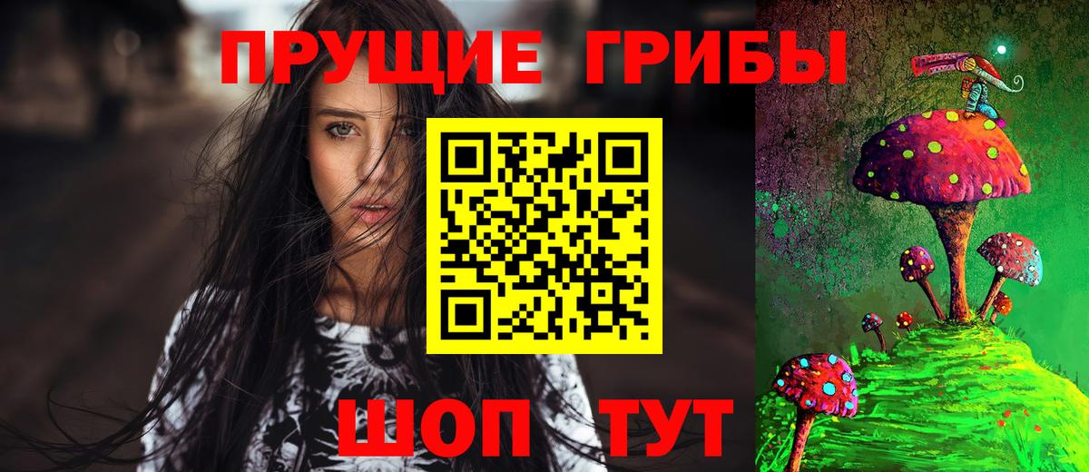 Удомля  Псилоцибиновые грибы Cubensis  Вход с VPN  купить наркотики сайты  Псилоцибиновые грибы GOLDEN TEACHER 